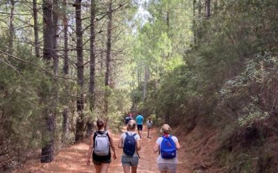 Un accompagnement adapté par un coach professionnel pour retrouver du sens et reconstruire sa trajectoire