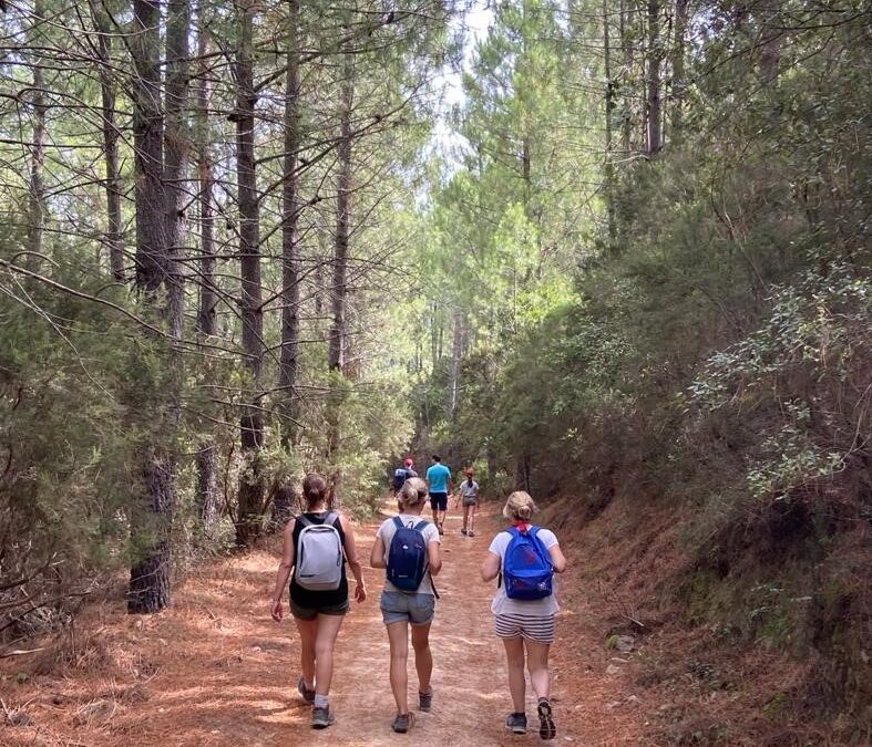Un accompagnement adapté par un coach professionnel pour retrouver du sens et reconstruire sa trajectoire